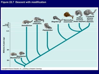 Figure 22.7 Descent with modification
 