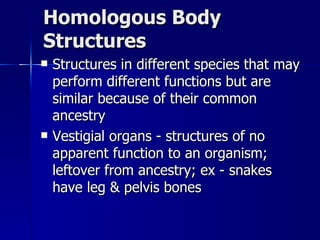 Homologous Body
Structures
   Structures in different species that may
    perform different functions but are
    similar because of their common
    ancestry
   Vestigial organs - structures of no
    apparent function to an organism;
    leftover from ancestry; ex - snakes
    have leg & pelvis bones
 