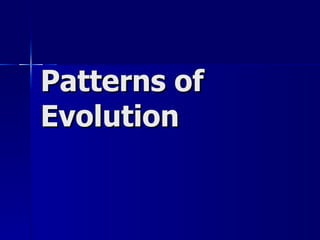 Patterns of
Evolution
 