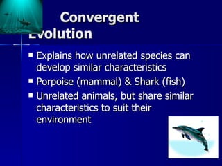 Convergent
Evolution
   Explains how unrelated species can
    develop similar characteristics
   Porpoise (mammal) & Shark (fish)
   Unrelated animals, but share similar
    characteristics to suit their
    environment
 