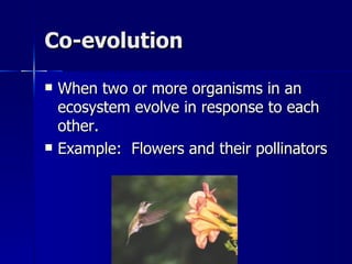 Co-evolution

   When two or more organisms in an
    ecosystem evolve in response to each
    other.
   Example: Flowers and their pollinators
 