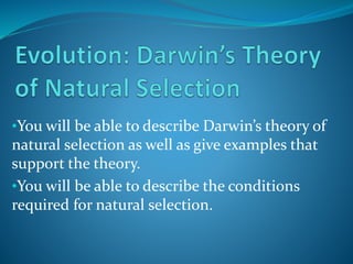 •You will be able to describe Darwin’s theory of
natural selection as well as give examples that
support the theory.
•You will be able to describe the conditions
required for natural selection.
 
