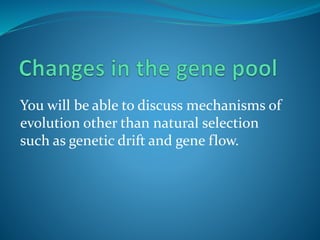 You will be able to discuss mechanisms of
evolution other than natural selection
such as genetic drift and gene flow.
 
