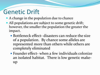 Genetic Drift
 A change in the population due to chance
 All populations are subject to some genetic drift;
however, the smaller the population the greater the
impact.
 Bottleneck effect- disasters can reduce the size
of a population. By chance some alleles are
represented more than others while others are
completely eliminated
 Founder effect- when a few individuals colonize
an isolated habitat. There is low genetic make-
up
 