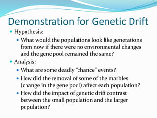 Demonstration for Genetic Drift
 Hypothesis:
 What would the populations look like generations
from now if there were no environmental changes
and the gene pool remained the same?
 Analysis:
 What are some deadly “chance” events?
 How did the removal of some of the marbles
(change in the gene pool) affect each population?
 How did the impact of genetic drift contrast
between the small population and the larger
population?
 