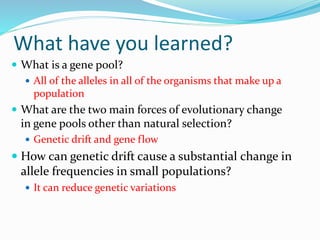 What have you learned?
 What is a gene pool?
 All of the alleles in all of the organisms that make up a
population
 What are the two main forces of evolutionary change
in gene pools other than natural selection?
 Genetic drift and gene flow
 How can genetic drift cause a substantial change in
allele frequencies in small populations?
 It can reduce genetic variations
 