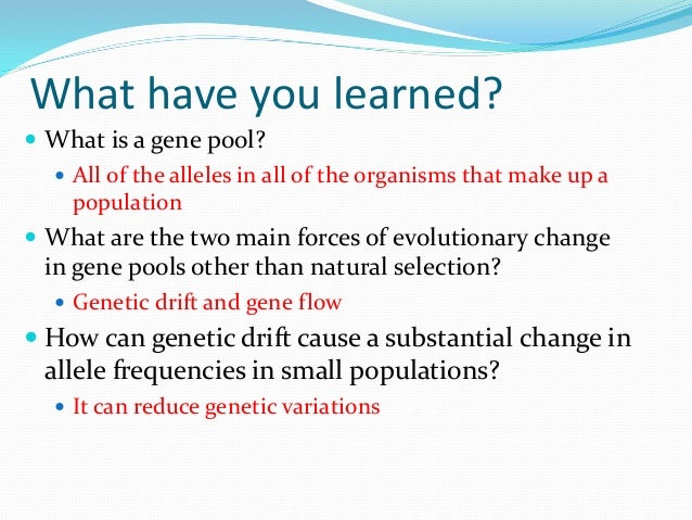 Differences Between Natural Selection And Genetic Drift Differences Between Natural Selection And Genetic Drift