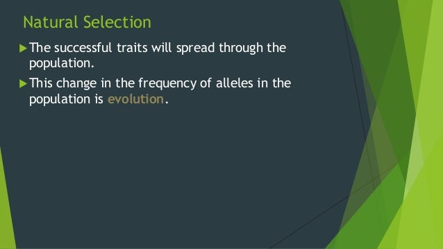 What Do Variation And Natural Selection Allow Populations To Do What Do Variation And Natural Selection Allow Populations To Do