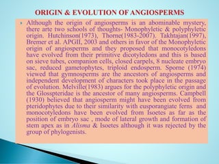  Although the origin of angiosperms is an abominable mystery,
there arte two schools of thoughts- Monophyletic & polyphyletic
origin. Hutchinson(1973), Thorne(1983-2007). Takhtajan(1997),
Bremer et al. APGII, 2003 and others in favor of the Monophyletic
origin of angiosperms and they proposed that monocotyledons
have evolved from their primitive dicotyledons and this is based
on sieve tubes, companion cells, closed carpels, 8 nucleate embryo
sac, reduced gametophytes, triploid endosperm. Sporne (1974)
viewed that gymnosperms are the ancestors of angiosperms and
independent development of characters took place in the passage
of evolution. Melville(1983) argues for the polyphyletic origin and
the Glosspteridae is the ancestor of many angiosperms. Campbell
(1930) believed that angiosperm might have been evolved from
pteridophytes due to their similarity with eusporangiate ferns and
monocotyledons have been evolved from Isoetes as far as the
position of embryo sac , mode of lateral growth and formation of
stem apex as in Alisma & Isoetes although it was rejected by the
group of phylogenists.
 