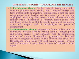  1. Pteridosperm theory: On the basis of histology and stellar
structure (Andrew, 1947; Arnold, 1949; Cronquest, 1968)), seed
ferns are thought to be ancestor of angiosperms. In both the cases,
eusporangiate type development, two traces to one gap and
amphiphloic stele, they share some common characters and the
laminar type of placentation is somehow related to the soral
distribution of the ferns. But the simple structure of angiosperm
ovule and complex seed of pteridophytes are points of
disagreement.
 2.Anthrostrobilus theory: Angiosperm flower evolved from an
unbranched bisexual strobilus bearing spirally arranged pollen
and ovulate organs. It got similarity with the reproductive
structure of ancient Bennettitalean gymnosperms. Bisexual;
flowers of Magnoliales seems to have evolved from such stock.
Bennettialean origin along with seed bearing organs, Caytonia
and leaf structure of cycas show a degree of similarity in this
regard.
 