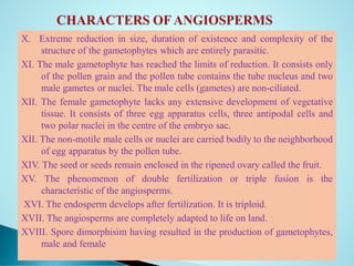X. Extreme reduction in size, duration of existence and complexity of the
structure of the gametophytes which are entirely parasitic.
XI. The male gametophyte has reached the limits of reduction. It consists only
of the pollen grain and the pollen tube contains the tube nucleus and two
male gametes or nuclei. The male cells (gametes) are non-ciliated.
XII. The female gametophyte lacks any extensive development of vegetative
tissue. It consists of three egg apparatus cells, three antipodal cells and
two polar nuclei in the centre of the embryo sac.
XII. The non-motile male cells or nuclei are carried bodily to the neighborhood
of egg apparatus by the pollen tube.
XIV. The seed or seeds remain enclosed in the ripened ovary called the fruit.
XV. The phenomenon of double fertilization or triple fusion is the
characteristic of the angiosperms.
XVI. The endosperm develops after fertilization. It is triploid.
XVII. The angiosperms are completely adapted to life on land.
XVIII. Spore dimorphisim having resulted in the production of gametophytes,
male and female
 