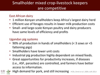 Evolution of animal production in africa and other emerging markets