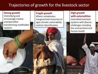 Evolution of animal production in africa and other emerging markets