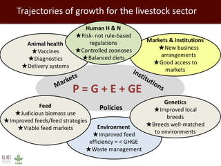 Evolution of animal production in africa and other emerging markets