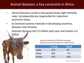 Evolution of animal production in africa and other emerging markets