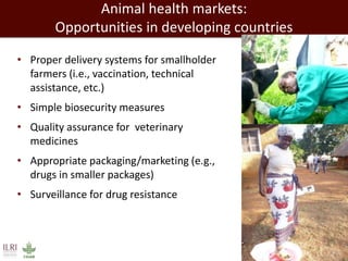 Evolution of animal production in africa and other emerging markets