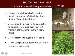 Evolution of animal production in africa and other emerging markets