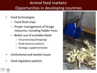 Evolution of animal production in africa and other emerging markets