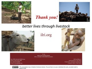 Evolution of animal production in africa and other emerging markets