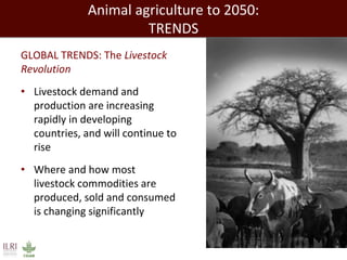 Evolution of animal production in africa and other emerging markets