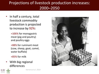 Evolution of animal production in africa and other emerging markets