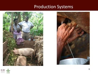 Evolution of animal production in africa and other emerging markets