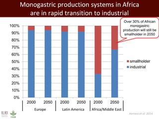 Evolution of animal production in africa and other emerging markets