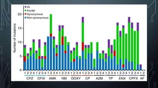 Evolution of antibiotic resistance | PPTX