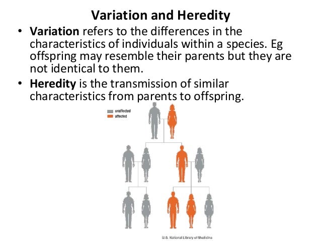 Genetics Definition Genetics Genetic Variation Heredity