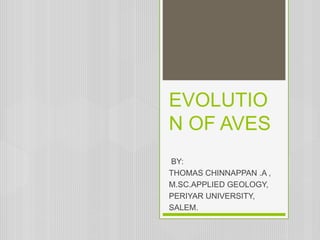 EVOLUTIO
N OF AVES
BY:
THOMAS CHINNAPPAN .A ,
M.SC.APPLIED GEOLOGY,
PERIYAR UNIVERSITY,
SALEM.
 
