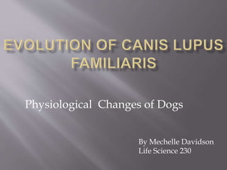 Physiological Changes of Dogs
By Mechelle Davidson
Life Science 230
 