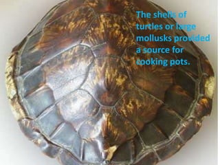 The shells of
turtles or large
mollusks provided
a source for
cooking pots.
 