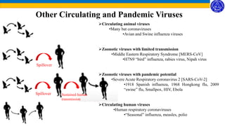 Spillover Sustained human
transmission
Other Circulating and Pandemic Viruses
Circulating animal viruses
•Many bat coronaviruses
•Avian and Swine influenza viruses
Zoonotic viruses with limited transmission
•Middle Eastern Respiratory Syndrome [MERS-CoV]
•H7N9 “bird” influenza, rabies virus, Nipah virus
Zoonotic viruses with pandemic potential
•Severe Acute Respiratory coronavirus 2 [SARS-CoV-2]
•1918 Spanish influenza, 1968 Hongkong flu, 2009
“swine” flu, Smallpox, HIV, Ebola
Circulating human viruses
•Human respiratory coronaviruses
•“Seasonal” influenza, measles, polio
Spillover
 