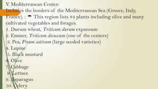 V. Mediterranean Center:
Includes the borders of the Mediterranean Sea (Greece, Italy,
France). : This region lists 84 plants including olive and many

cultivated vegetables and forages.
1. Durum wheat, Triticum durum expansum
2. Emmer, Triticum dicoccum (one of the centers)
3. Pea, Pisum sativum (large seeded varieties)
4. Lupine
5. Black mustard
6. Olive
7. Cabbage
8. Lettuce
9. Asparagus
10. Celery
 