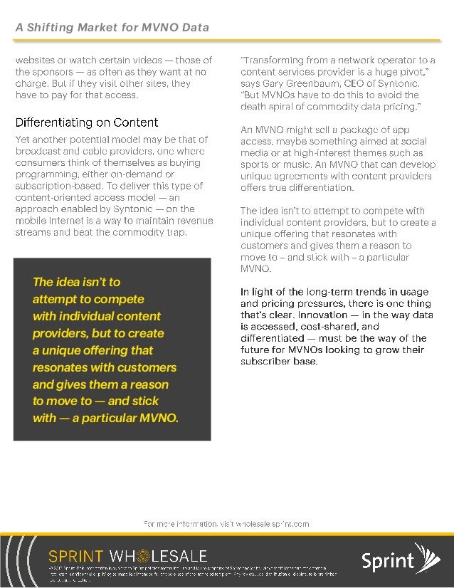 Mvno business plan template image