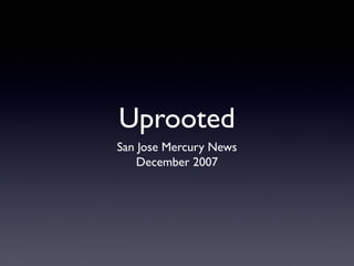 Uprooted
San Jose Mercury News
December 2007

 