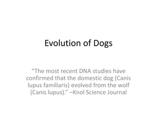 Evolution of Dogs

   “The most recent DNA studies have
confirmed that the domestic dog (Canis
 lupus familiaris) evolved from the wolf
  (Canis lupus).” –Knol Science Journal
 