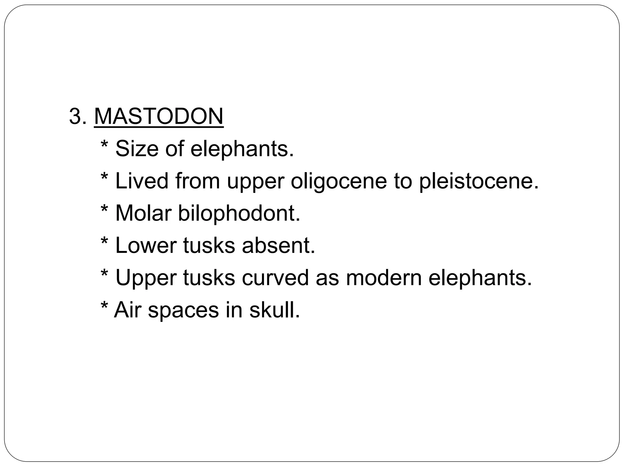 3. MASTODON
* Size of elephants.
* Lived from upper oligocene to pleistocene.
* Molar bilophodont.
* Lower tusks absent.
* Upper tusks curved as modern elephants.
* Air spaces in skull.
 