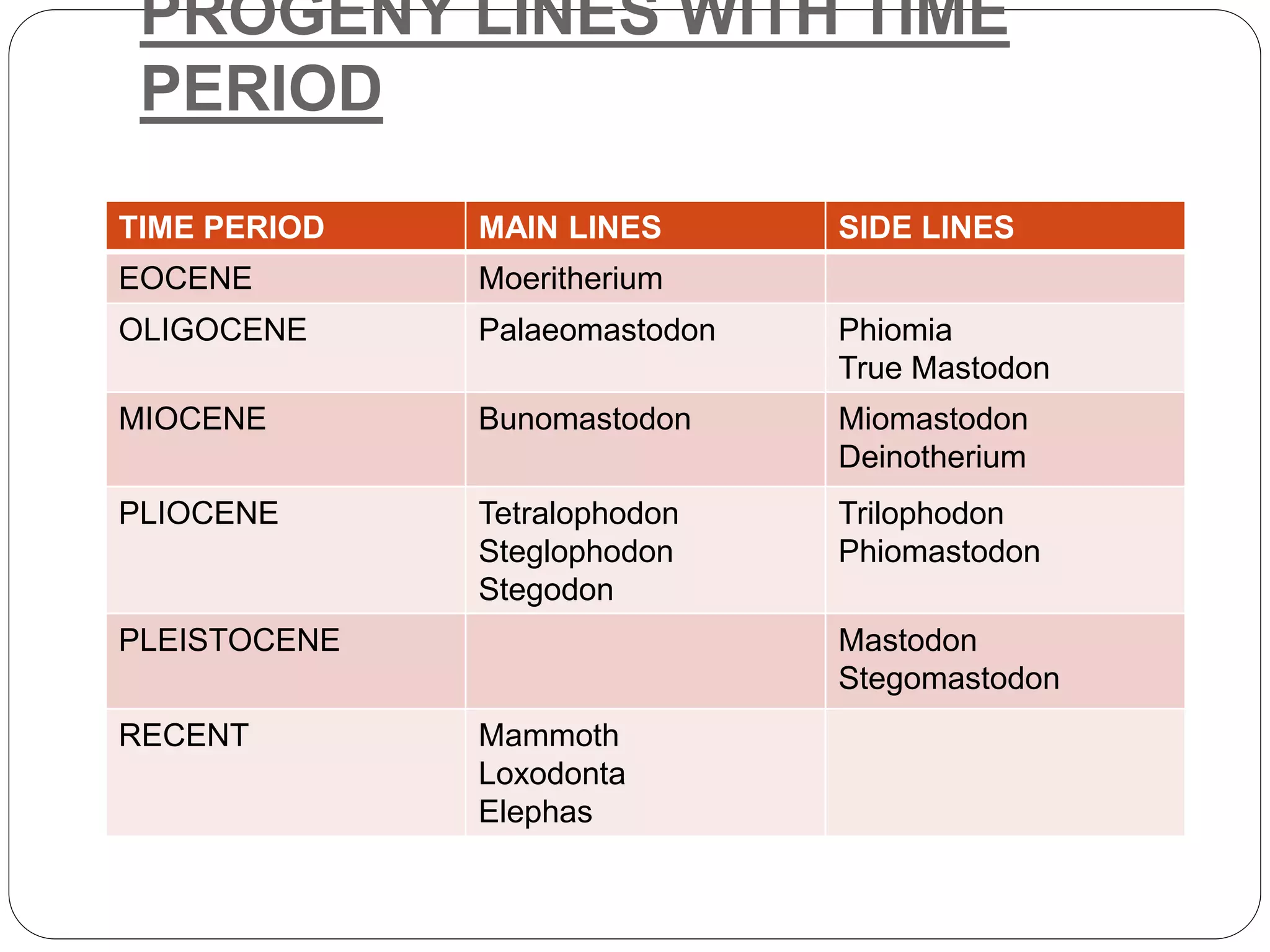 PROGENY LINES WITH TIME
PERIOD
TIME PERIOD MAIN LINES SIDE LINES
EOCENE Moeritherium
OLIGOCENE Palaeomastodon Phiomia
True Mastodon
MIOCENE Bunomastodon Miomastodon
Deinotherium
PLIOCENE Tetralophodon
Steglophodon
Stegodon
Trilophodon
Phiomastodon
PLEISTOCENE Mastodon
Stegomastodon
RECENT Mammoth
Loxodonta
Elephas
 