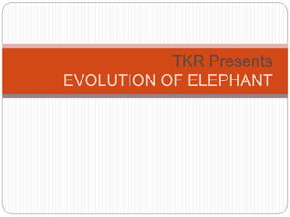TKR Presents
EVOLUTION OF ELEPHANT
 