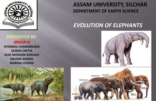 PRESENTED BY:
GROUP-D
SHYAMOL CHARAIMURIA
QUEEN CHETIA
KUKI MONJORI BORUAH
WAZBIR AHMED
MARINA CHORAI
ASSAM UNIVERSITY, SILCHAR
DEPARTMENT OF EARTH SCIENCE
EVOLUTION OF ELEPHANTS
 