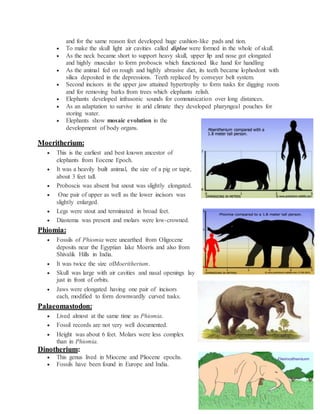 and for the same reason feet developed huge cushion-like pads and tion.
 To make the skull light air cavities called diploe were formed in the whole of skull.
 As the neck became short to support heavy skull, upper lip and nose got elongated
and highly muscular to form proboscis which functioned like hand for handling
 As the animal fed on rough and highly abrasive diet, its teeth became lophodont with
silica deposited in the depressions. Teeth replaced by conveyer belt system.
 Second incisors in the upper jaw attained hypertrophy to form tusks for digging roots
and for removing barks from trees which elephants relish.
 Elephants developed infrasonic sounds for communication over long distances.
 As an adaptation to survive in arid climate they developed pharyngeal pouches for
storing water.
 Elephants show mosaic evolution in the
development of body organs.
Moeritherium:
 This is the earliest and best known ancestor of
elephants from Eocene Epoch.
 It was a heavily built animal, the size of a pig or tapir,
about 3 feet tall.
 Proboscis was absent but snout was slightly elongated.
 One pair of upper as well as the lower incisors was
slightly enlarged.
 Legs were stout and terminated in broad feet.
 Diastema was present and molars were low-crowned.
Phiomia:
 Fossils of Phiomia were unearthed from Oligocene
deposits near the Egyptian lake Moeris and also from
Shivalik Hills in India.
 It was twice the size ofMoeritherium.
 Skull was large with air cavities and nasal openings lay
just in front of orbits.
 Jaws were elongated having one pair of incisors
each, modified to form downwardly curved tusks.
Palaeomastodon:
 Lived almost at the same time as Phiomia.
 Fossil records are not very well documented.
 Height was about 6 feet. Molars were less complex
than in Phiomia.
Dinotherium:
 This genus lived in Miocene and Pliocene epochs.
 Fossils have been found in Europe and India.
 