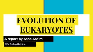 EVOLUTION OF
EUKARYOTES
A report by Asna Aasim
M.Sc Zoology IInd Sem
 