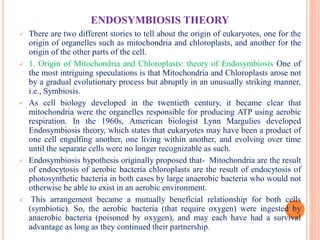 EVOLUTION OF EUKARYOTIC CELLS AND ENDOSYMBIOSIS.pdf