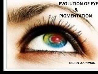 EVOLUTION OF EYE
&
PIGMENTATION
MESUT AKPUNAR
 