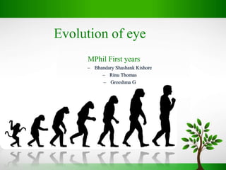 Evolution of eye
MPhil First years
– Bhandary Shashank Kishore
– Rinu Thomas
– Greeshma G
 