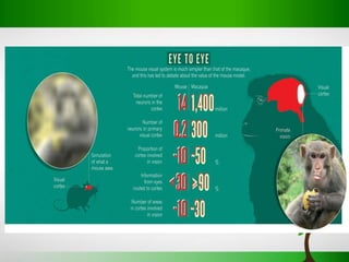 Evolution of EYE | PPTX