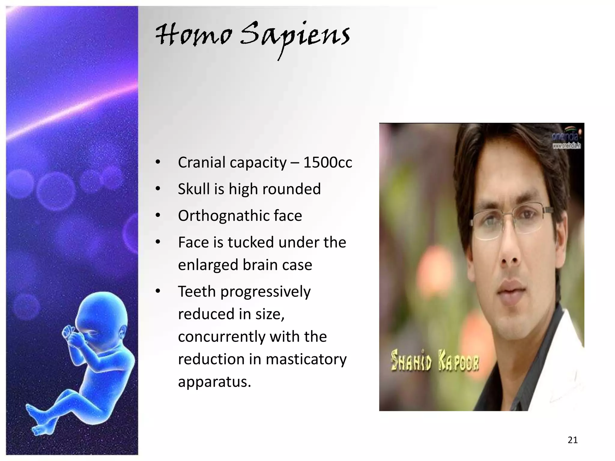 Homo SapiensCranial capacity – 1500ccSkull is high rounded Orthognathic faceFace is tucked under the enlarged brain caseTeeth progressively reduced in size, concurrently with the reduction in masticatory apparatus.21
