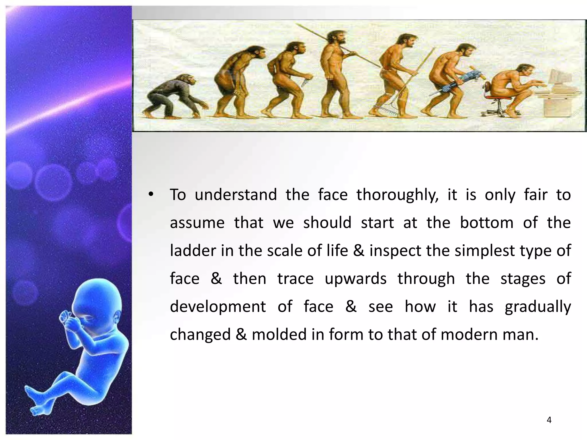 To understand the face thoroughly, it is only fair to assume that we should start at the bottom of the ladder in the scale of life & inspect the simplest type of face & then trace upwards through the stages of development of face & see how it has gradually changed & molded in form to that of modern man.4