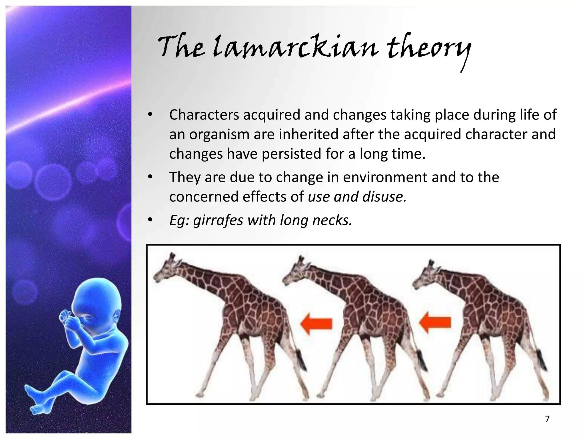 The lamarckian theoryCharacters acquired and changes taking place during life of an organism are inherited after the acquired character and changes have persisted for a long time.They are due to change in environment and to the concerned effects of use and disuse.Eg: girrafes with long necks.7
